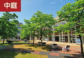 中庭 中庭