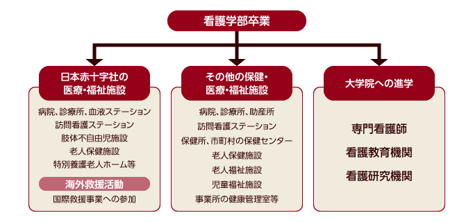 卒業後の展望
