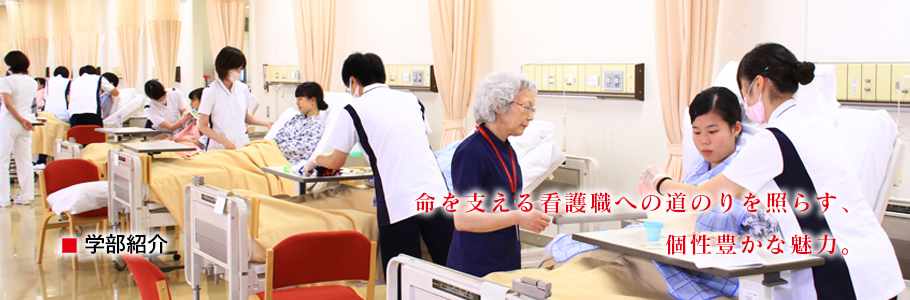 学部紹介