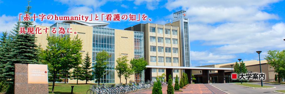 大学案内
